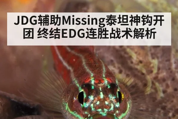 JDG辅助Missing泰坦神钩开团 终结EDG连胜战术解析