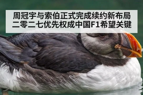 周冠宇与索伯正式完成续约新布局 二零二七优先权成中国F1希望关键